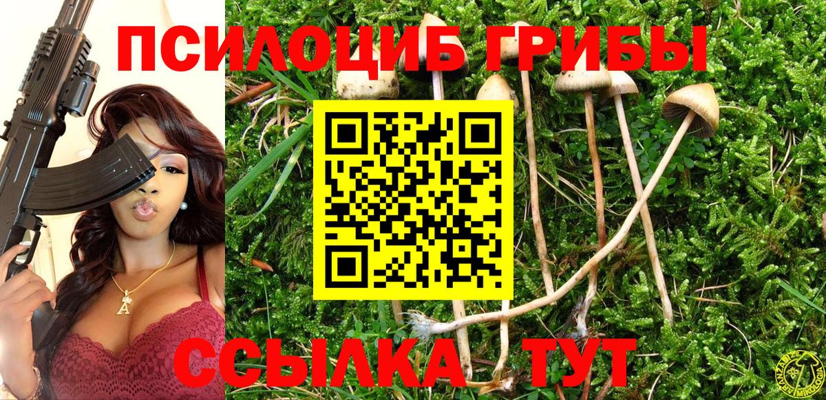 Павловский Посад  Псилоцибиновые грибы Psilocybe  Вход с VPN  Псилоцибиновые грибы прущие грибы 